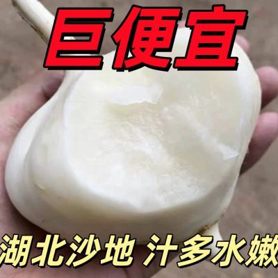 湖北凉薯地瓜孕妇水果薄皮肉白水果新鲜现挖地萝卜农家低脂当季甜优惠商品图片