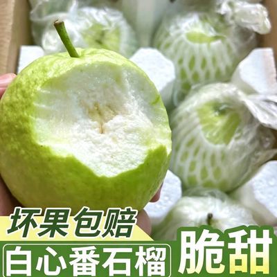 广东新鲜采摘番石榴芭乐白心孕妇应季水果当季一整箱