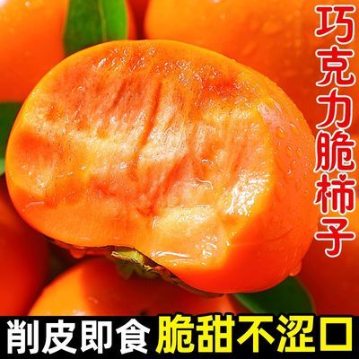 正宗阳丰脆柿新鲜应季甜柿子巧克力脆柿冰糖心无核硬柿子当季水果