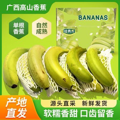 【彩箱】5斤广西高山单根香蕉单独包装软糥香蕉自然产地薄皮