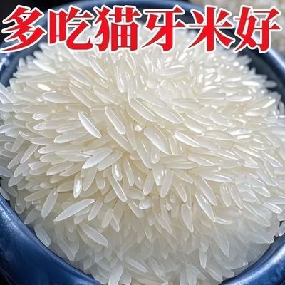 【批发】一级米10斤20斤批发长粒丝苗米现磨直发农家长粒米超长优惠商品图片