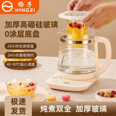 扬子养生壶多功能家用烧水壶全自动玻璃办公室小型花茶壶炖煮茶器