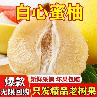 现货福建平和白心蜜柚新鲜水果当季应季白肉柚子孕妇薄皮白柚包邮