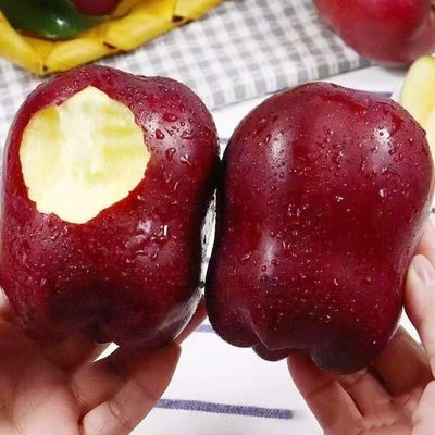 【新果】高山花牛苹果应季新鲜水果老人宝宝刮泥香甜粉面苹果整箱优惠商品图片