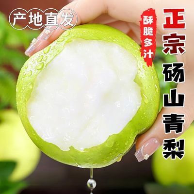 正宗砀山青皮梨净重2/4.5/9斤酥脆1号翠玉皇冠梨薄皮梨子新鲜当季优惠商品图片