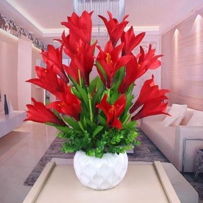 【四季开花】懒人新品清香玉球根花卉盆栽四季开花兰花卉大全耐寒