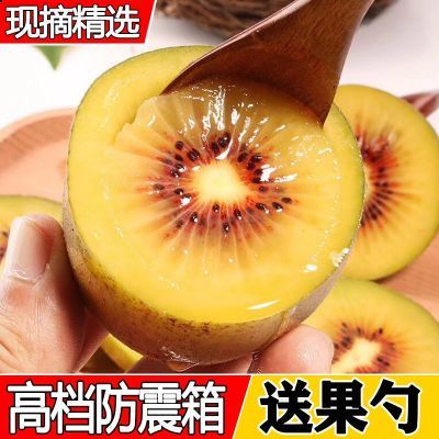 现摘红心猕猴桃 四川蒲江猕猴桃孕妇水果批发 新鲜奇异果应季弥核
