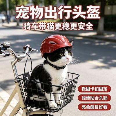 网红宠物头盔猫狗骑行安全帽高颜值外出防撞防护头盔可爱宠物配饰优惠商品图片