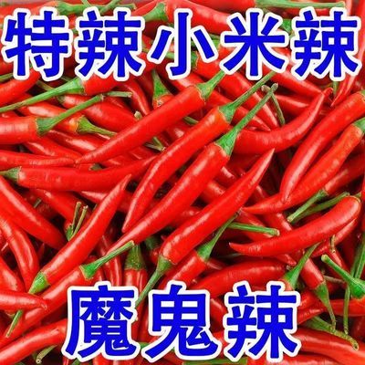 新鲜现摘小米辣椒朝天椒泡椒辣鲜椒魔鬼特辣巨辣蔬菜批发红辣椒