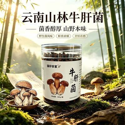 云南特产菌牛肝菌拌面饭菜即食零食油优惠商品图片