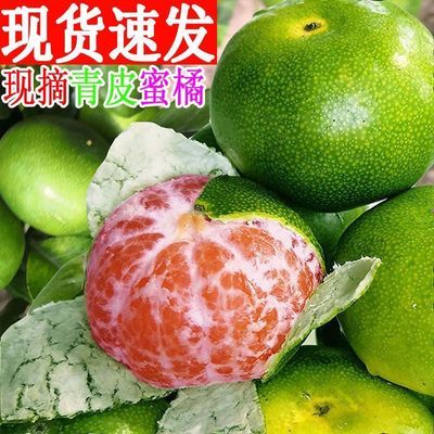 【2026薄皮橘子】薄皮无籽宜昌蜜桔新鲜青皮橘子清香桔子孕妇酸甜优惠商品图片