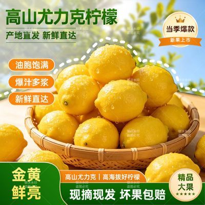 高山尤力克柠檬现摘黄柠檬新鲜果园直发优选大果奶茶专用