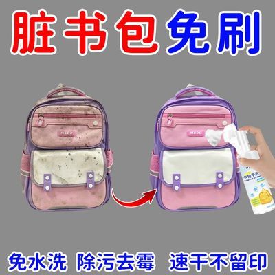 书包清洗剂污渍汗渍污渍清除剂尼龙帆布包清洁剂免水干洗神器