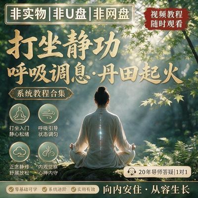 丹田起火静功内观基础打坐小周天入门视频教程核心静坐导师1v1