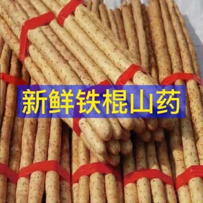正宗粉糯山药铁棍山药麻山药新鲜蔬菜小白嘴多规格可选