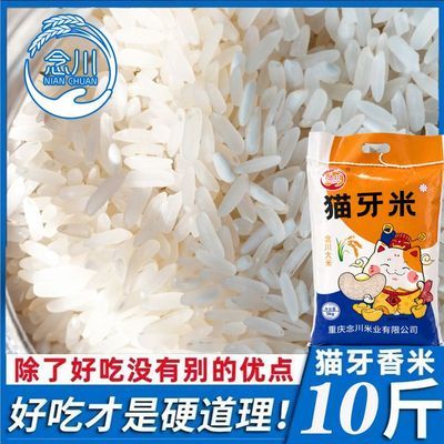 【进宝专用】10斤大米念川猫牙米丝苗米长粒晚稻现磨饭店餐厅食堂优惠商品图片