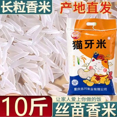 【多宝专属】念川猫牙大米10斤长粒香正宗低价炒饭煲仔饭商用家用优惠商品图片
