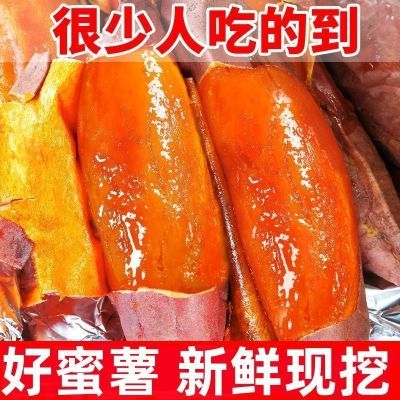 孕妇现挖超甜沙地蜜薯新鲜红薯黄心板栗薯糖心番薯红薯山芋地瓜