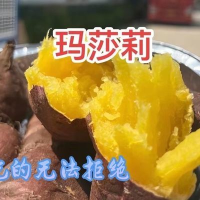 玛莎莉正品软糯香甜现挖现发蜜薯贵族红薯地瓜网红