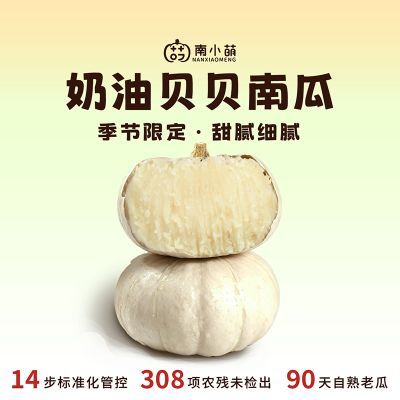 南小萌正宗奶油贝贝南瓜新鲜板栗味甜糯细腻应季现摘白雪小南瓜优惠商品图片