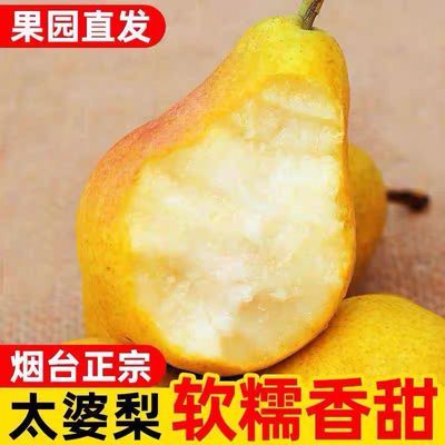【烟台产地发货】正宗烟台太婆梨放软吃大头梨新鲜应季水果放软吃优惠商品图片