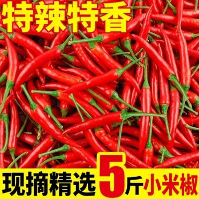 云南新鲜红小米辣朝天椒精品现采指天椒香辣十足炒菜腌制5斤装优惠商品图片
