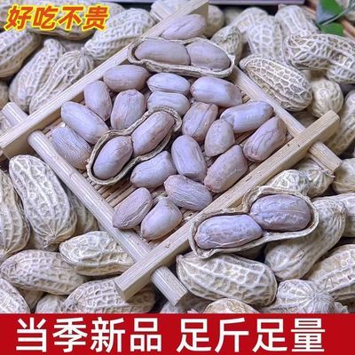河源忠信客家特产农家正宗水煮咸干花生太阳晒干软糯鲜香甜下酒菜
