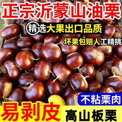 沂蒙山老树板栗油板栗超大果甜糯野生板栗栗子新鲜板栗批发优惠商品图片