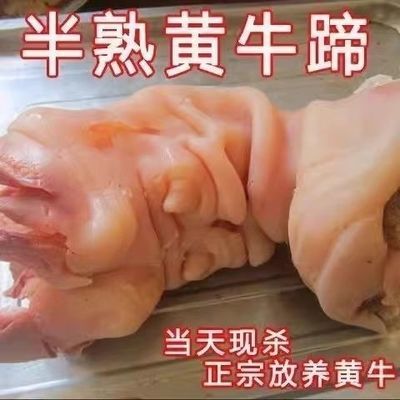 【整只牛蹄皮】草饲黄牛去骨牛蹄皮整只牛蹄脚新鲜半熟脱骨带牛脚优惠商品图片