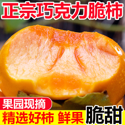 【脆柿子】硬柿子现摘新鲜应季脆甜巧克力无核水果直接吃整箱批发优惠商品图片