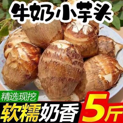当季特价香芋贵州云南现挖鲜牛奶芋头农家蔬菜芋艿整箱批发