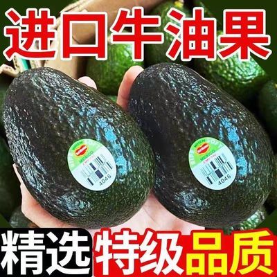 【批发价】秘鲁进口哈斯牛油果巨无霸云南国产牛油果新鲜整箱优惠商品图片