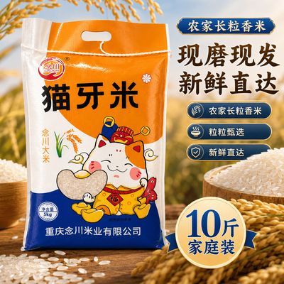 【进宝久星】10斤农家新米正宗猫牙米长粒香丝苗米炒饭现磨直发优惠商品图片