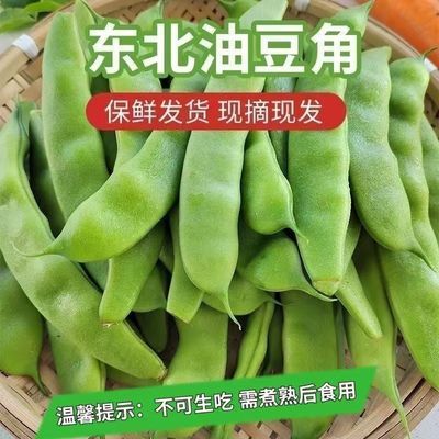 正宗东北四平梨树九月青油豆角当季新鲜采摘开锅就烂