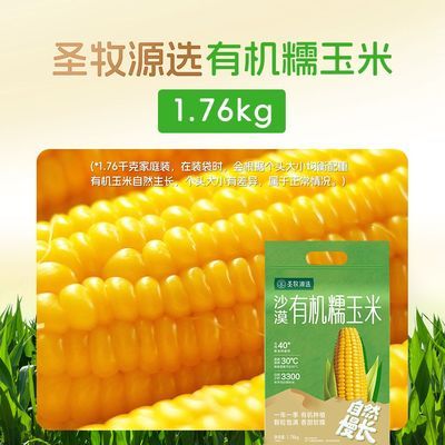 圣牧源选沙漠有机糯玉米1.76kg真空包装甜糯黄玉米蒸煮