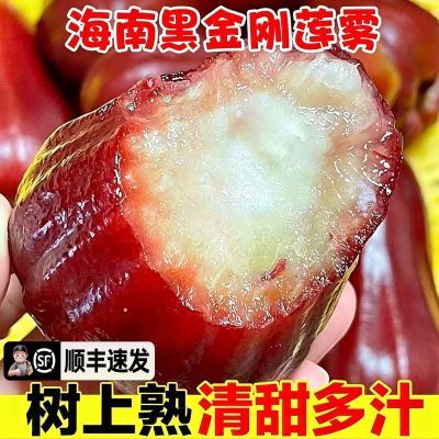 【顺丰包邮】正宗海南黑金刚莲雾新鲜现摘热带水果莲雾果热带水果