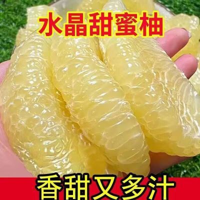 【9斤彩箱】福建平和白柚子白心蜜柚应季新鲜水果薄皮白肉柚批发