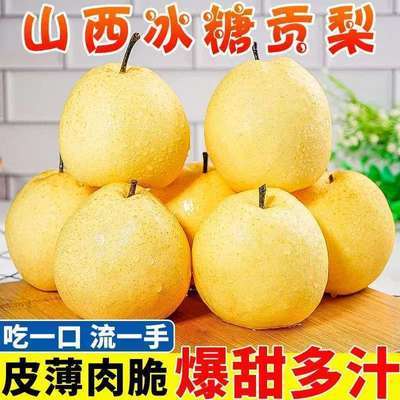 正宗贡梨山西冰糖酥梨雪梨多汁当季水果薄皮梨子新鲜整箱批发现发优惠商品图片