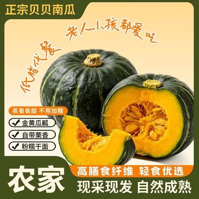 内蒙沙漠小贝贝南瓜板栗味甜糯真贝贝南瓜辅食老南瓜粉糯香甜板栗优惠商品图片