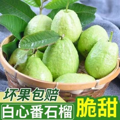 广西正宗芭乐芭乐白心番石榴水果当季新鲜白心现摘脆甜优惠商品图片