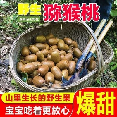西安周至秦岭山林野外生绿心猕猴桃新鲜当季水果野生猕猴桃纯天然优惠商品图片