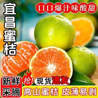 宜昌新鲜青皮蜜橘薄皮橘子孕妇新鲜水果酸甜桔子当季无籽桔子