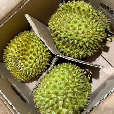 正宗新鲜金枕榴莲a果超大果8斤起整个京东冷链包邮云南口岸仓发货优惠商品图片