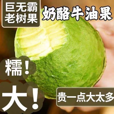 【精品果王】墨西哥牛油果新鲜当季大果水果宝宝辅食鳄梨整箱包邮优惠商品图片