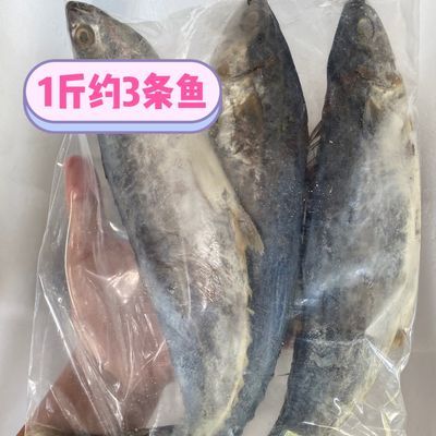 正宗梅香马鲛鱼咸香梅香马鲛鱼,咸鱼茄子煲整条梅香鱼1斤3条优惠商品图片