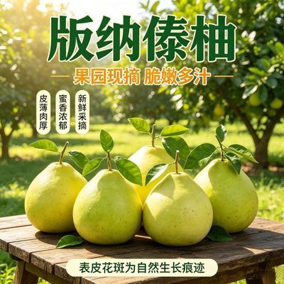 (傣柚)西双版纳当季傣柚东试早柚无核蜜柚多汁皮薄生态水果优惠商品图片