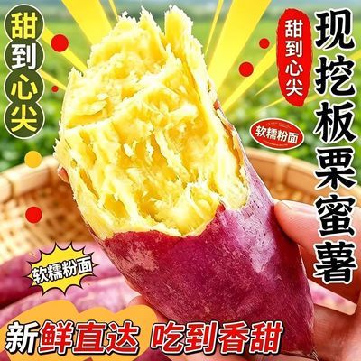孕妇现挖超甜沙地蜜薯新鲜红薯黄心板栗薯糖心番薯红薯山芋地瓜优惠商品图片