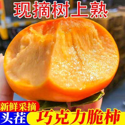 彩箱正宗现摘阳丰脆柿巧克力脆柿子硬柿子新鲜脆甜柿子应季甜柿子