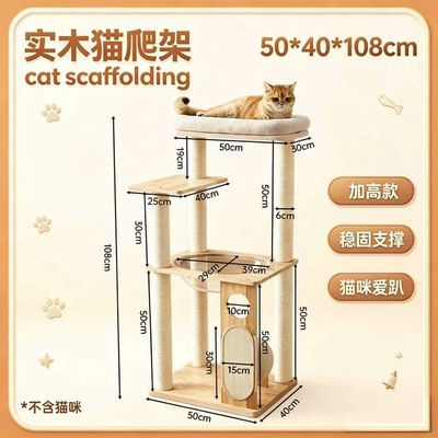 多层耐用抓柱太空舱架子猫猫爬架树网红窝攀爬猫实木小猫咪家用