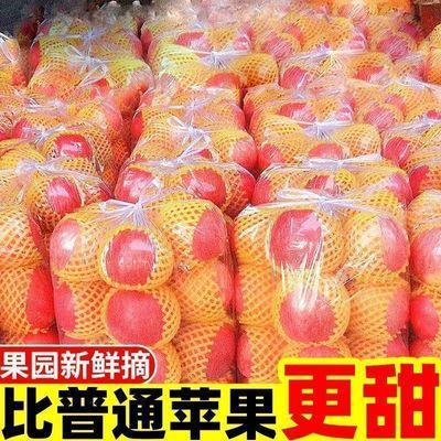 红苹果批发现摘现发脆甜当季超大果冰糖心红富士苹果整箱批发包邮优惠商品图片